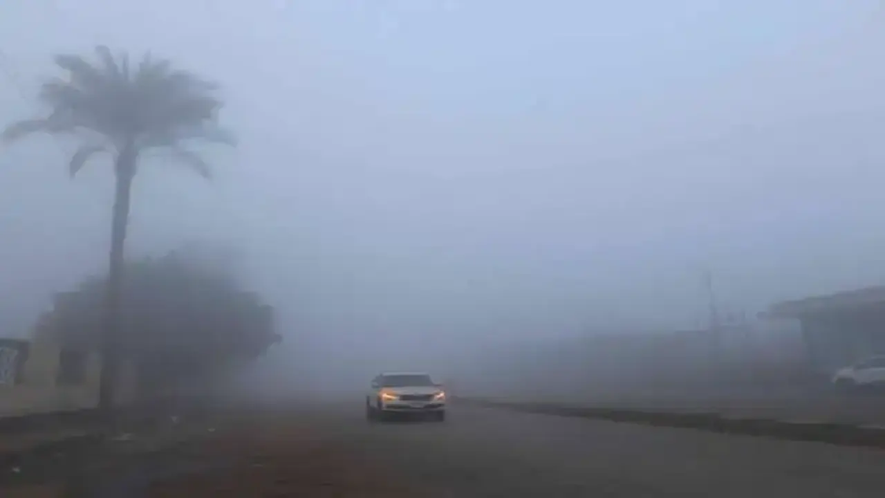 الأرصاد تحذر من شبورة كثيفة ورياح مثيرة للأتربة تضرب مناطق عديدة غدًا